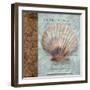 Shell I-Elizabeth Medley-Framed Art Print