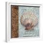 Shell I-Elizabeth Medley-Framed Art Print