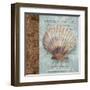 Shell I-Elizabeth Medley-Framed Art Print