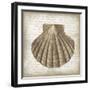 Shell I-Erin Clark-Framed Giclee Print