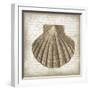 Shell I-Erin Clark-Framed Giclee Print