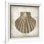 Shell I-Erin Clark-Framed Giclee Print