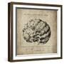 Shell I-Sidney Paul & Co.-Framed Giclee Print