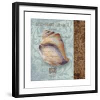 Shell II-Elizabeth Medley-Framed Premium Giclee Print