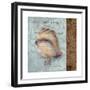 Shell II-Elizabeth Medley-Framed Premium Giclee Print