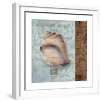 Shell II-Elizabeth Medley-Framed Premium Giclee Print