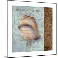 Shell II-Elizabeth Medley-Mounted Premium Giclee Print