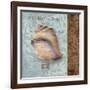 Shell II-Elizabeth Medley-Framed Art Print