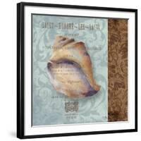 Shell II-Elizabeth Medley-Framed Art Print