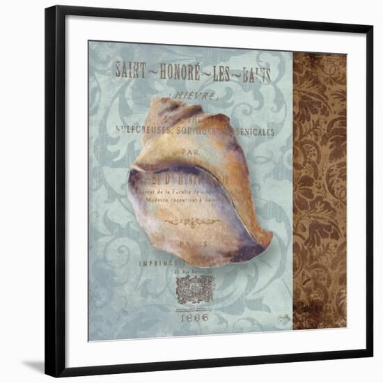 Shell II-Elizabeth Medley-Framed Art Print