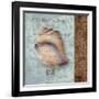 Shell II-Elizabeth Medley-Framed Art Print