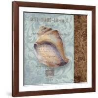 Shell II-Elizabeth Medley-Framed Art Print