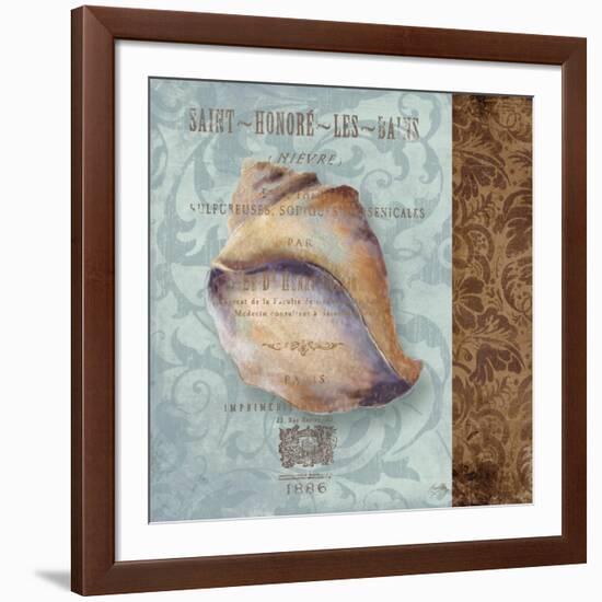 Shell II-Elizabeth Medley-Framed Art Print