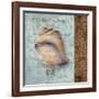 Shell II-Elizabeth Medley-Framed Art Print