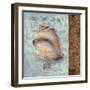 Shell II-Elizabeth Medley-Framed Art Print