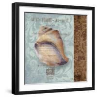 Shell II-Elizabeth Medley-Framed Art Print