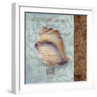 Shell II-Elizabeth Medley-Framed Art Print