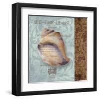 Shell II-Elizabeth Medley-Framed Art Print