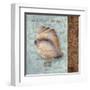 Shell II-Elizabeth Medley-Framed Art Print