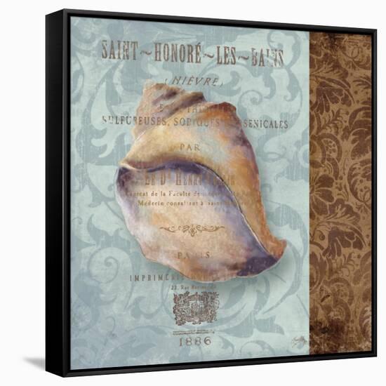 Shell II-Elizabeth Medley-Framed Stretched Canvas