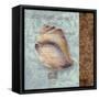 Shell II-Elizabeth Medley-Framed Stretched Canvas