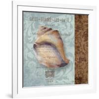 Shell II-Elizabeth Medley-Framed Art Print