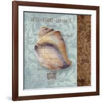 Shell II-Elizabeth Medley-Framed Art Print