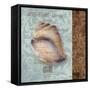 Shell II-Elizabeth Medley-Framed Stretched Canvas