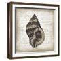 Shell II-Erin Clark-Framed Giclee Print