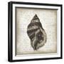 Shell II-Erin Clark-Framed Giclee Print