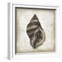 Shell II-Erin Clark-Framed Giclee Print