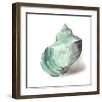 Shell in Mint-Aimee Wilson-Framed Art Print