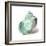 Shell in Mint-Aimee Wilson-Framed Art Print