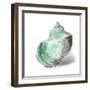 Shell in Mint-Aimee Wilson-Framed Art Print