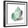 Shell in Mint-Aimee Wilson-Framed Art Print