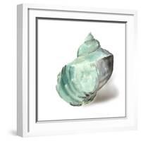 Shell in Mint-Aimee Wilson-Framed Art Print