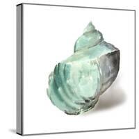 Shell in Mint-Aimee Wilson-Stretched Canvas