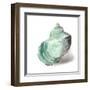 Shell in Mint-Aimee Wilson-Framed Art Print