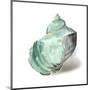 Shell in Mint-Aimee Wilson-Mounted Art Print