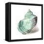 Shell in Mint-Aimee Wilson-Framed Stretched Canvas