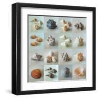 Shell Life-Assaf Frank-Framed Giclee Print