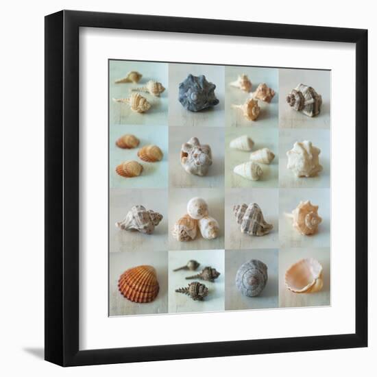 Shell Life-Assaf Frank-Framed Giclee Print