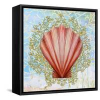 Shell Medley I-Diannart-Framed Stretched Canvas