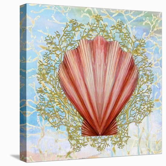 Shell Medley I-Diannart-Stretched Canvas