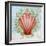 Shell Medley I-Diannart-Framed Art Print