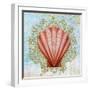 Shell Medley I-Diannart-Framed Art Print