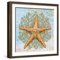 Shell Medley II-Diannart-Framed Art Print