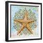 Shell Medley II-Diannart-Framed Art Print