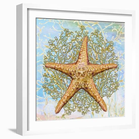 Shell Medley II-Diannart-Framed Art Print