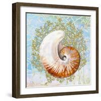 Shell Medley III-Diannart-Framed Art Print